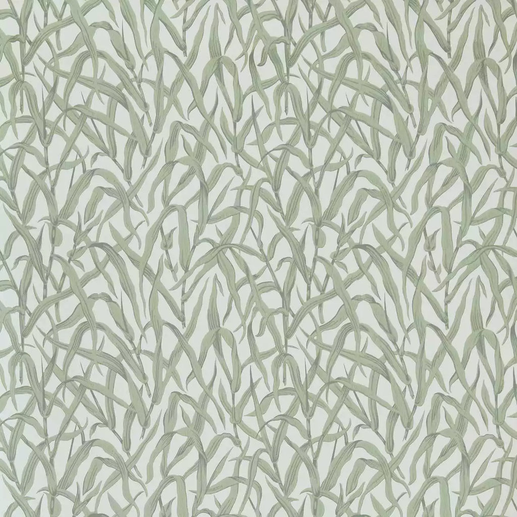 Ornamental Grasses Sage Green - Image 1