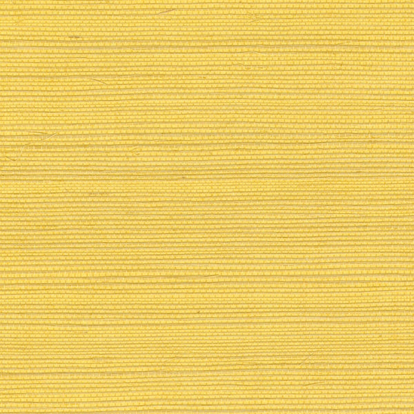 Sisal Énergie Solaire | Elitis