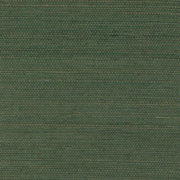 Sisal Au Milieu De La Garrigue | Elitis