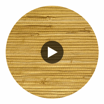 Palakua Classic Grasscloth | Phillipe Romano Circular Swatch | DW