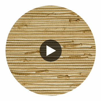 Palakua Classic Grasscloth | Phillipe Romano Circular Swatch | DW