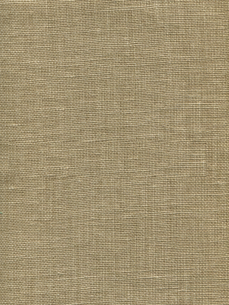 Ghent, Pale Camel