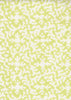 Pale Fern on White