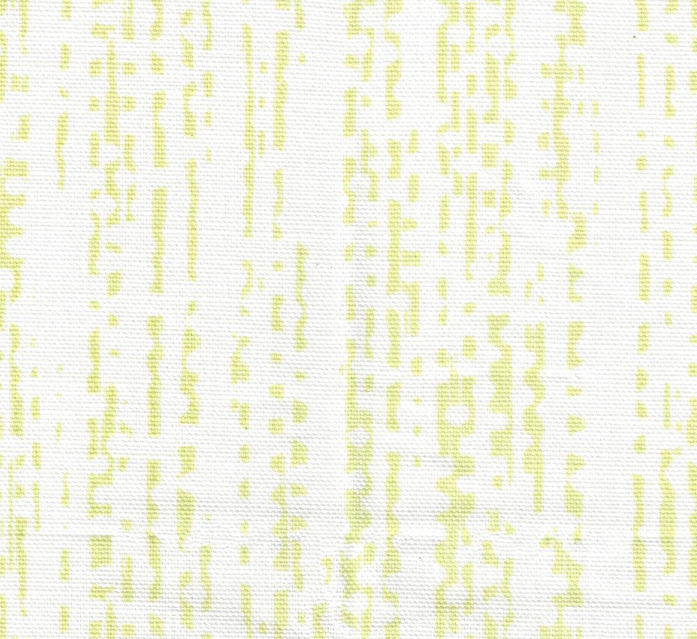 Pale Fern on White