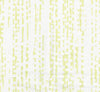 Pale Fern on White
