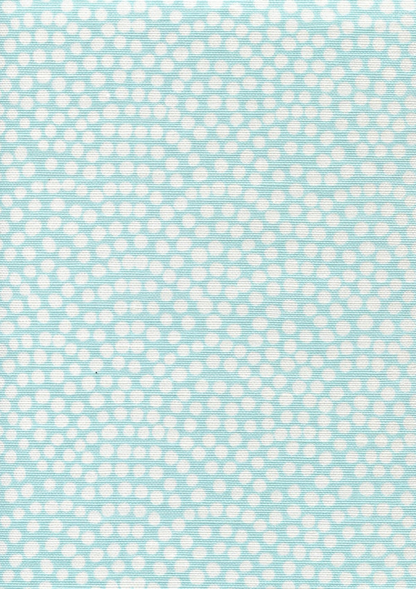 Pale Turquoise on White Wallcoverings | Alan Campbell