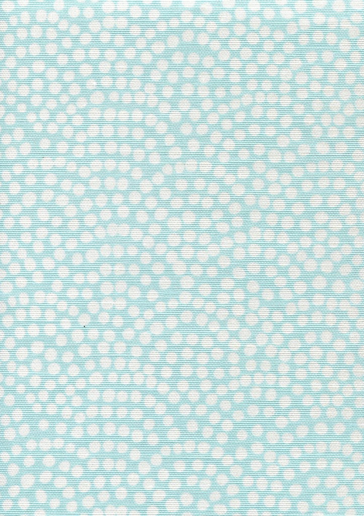 Pale Turquoise on White