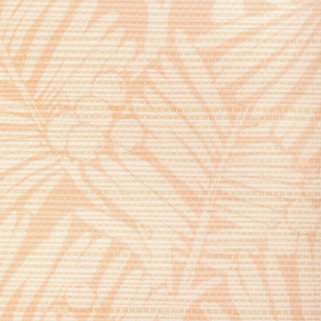 Palmar Sisal - Apricot - Image 4