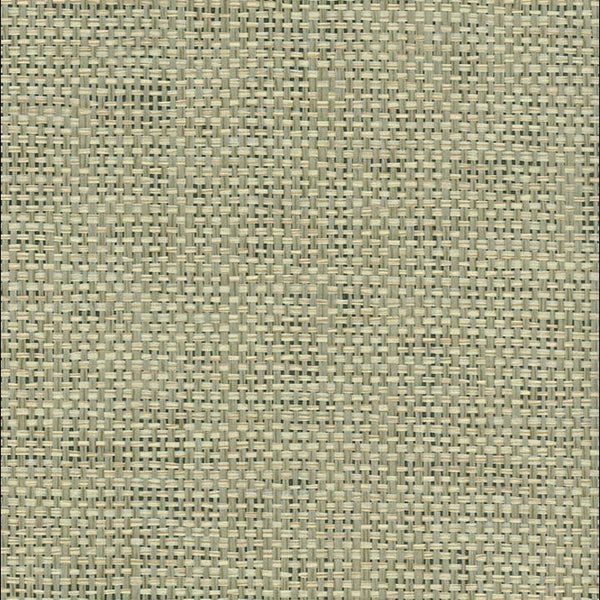 Pamela Paperweave