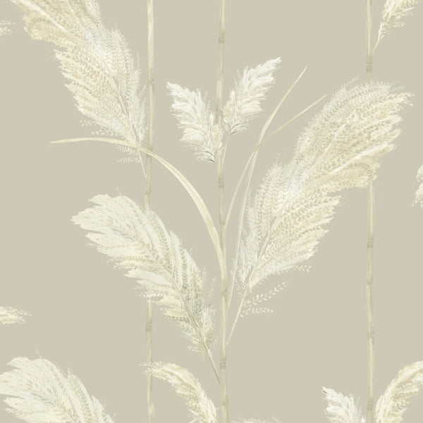 Pampas Grass Oatmeal | Brand McKenzie