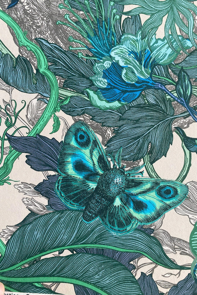 Papaver Actias