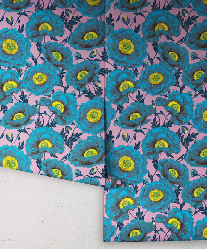 Papaver Wallpaper - Image 10