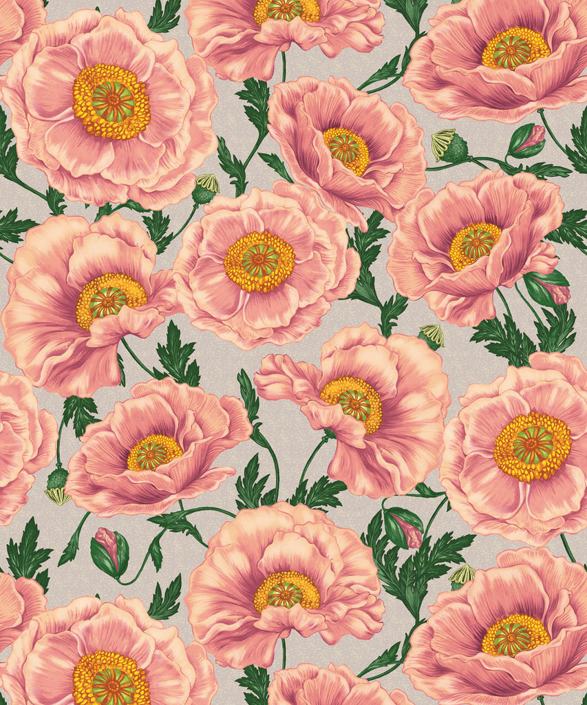 Papaver Wallpaper - Image 11