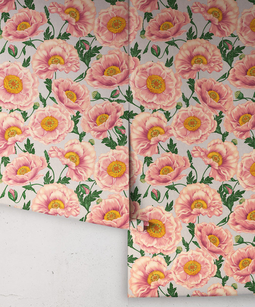 Papaver Wallpaper - Image 13