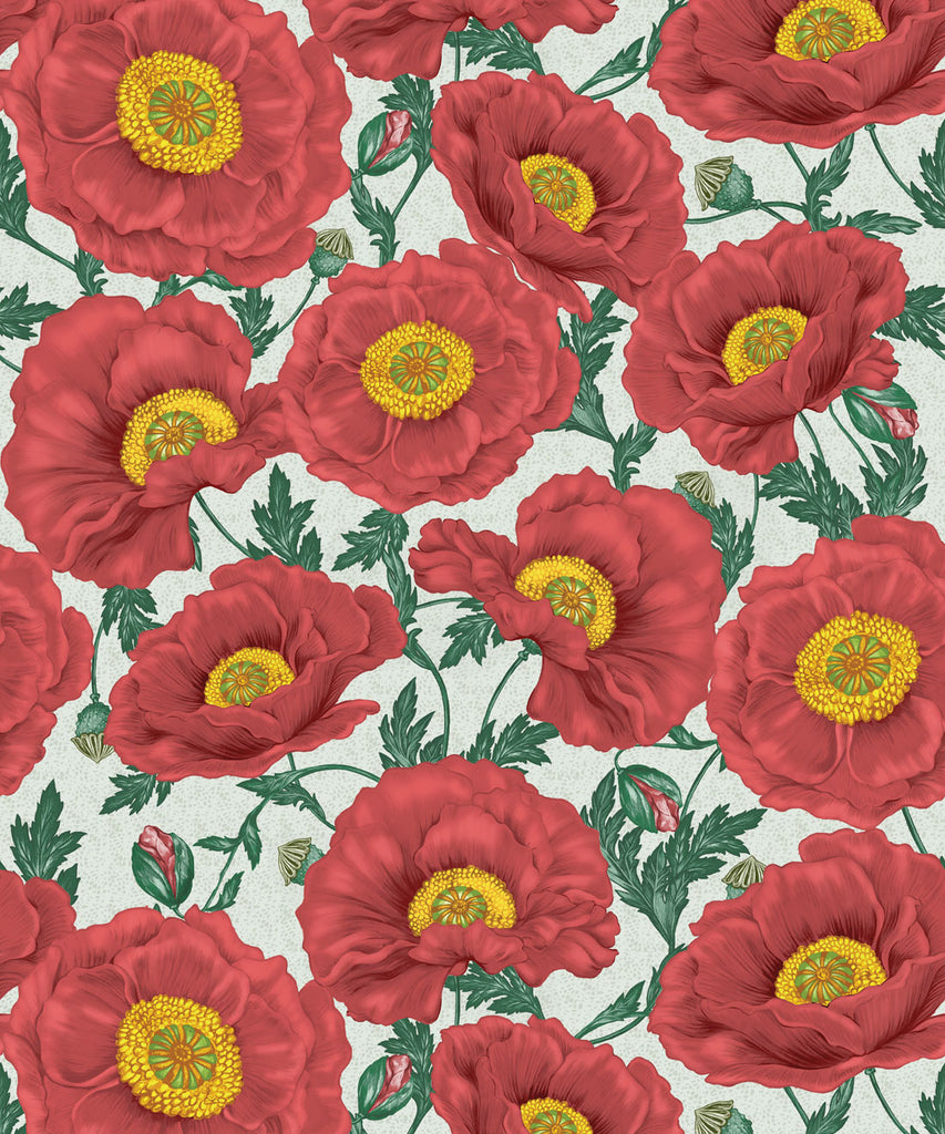 Papaver Wallpaper - Image 14