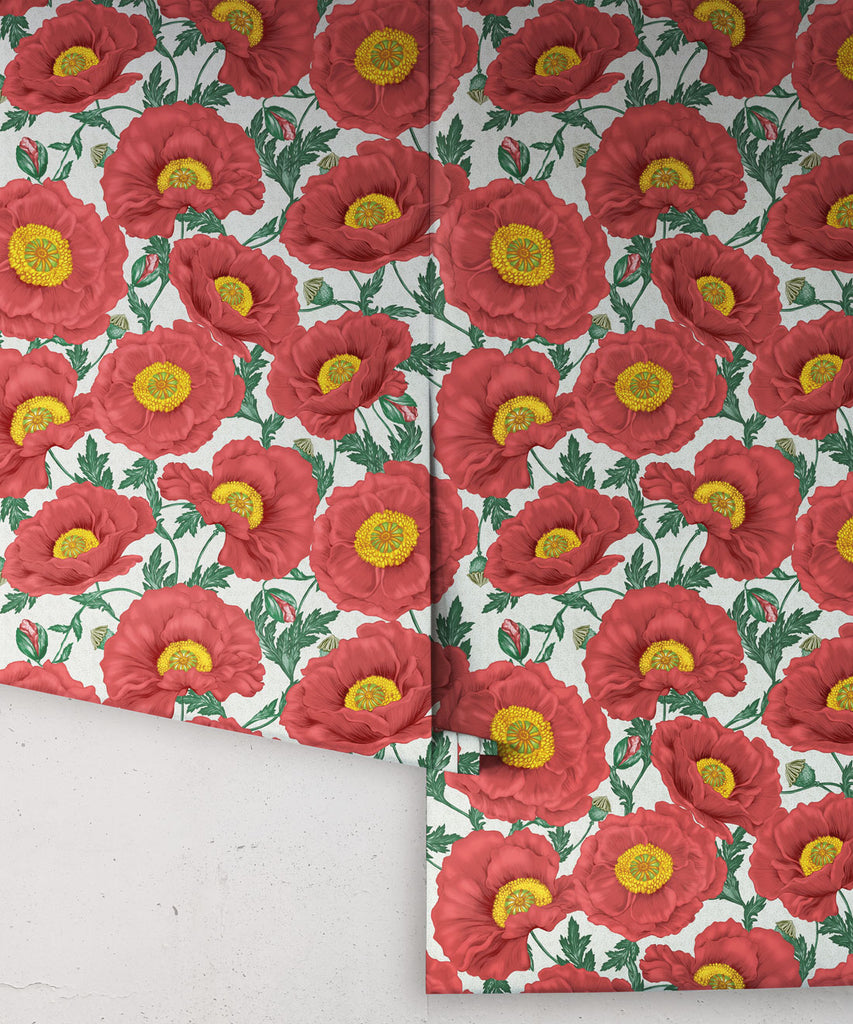 Papaver Wallpaper - Image 16