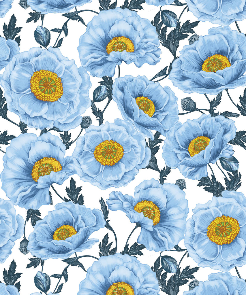 Papaver Wallpaper - Image 4