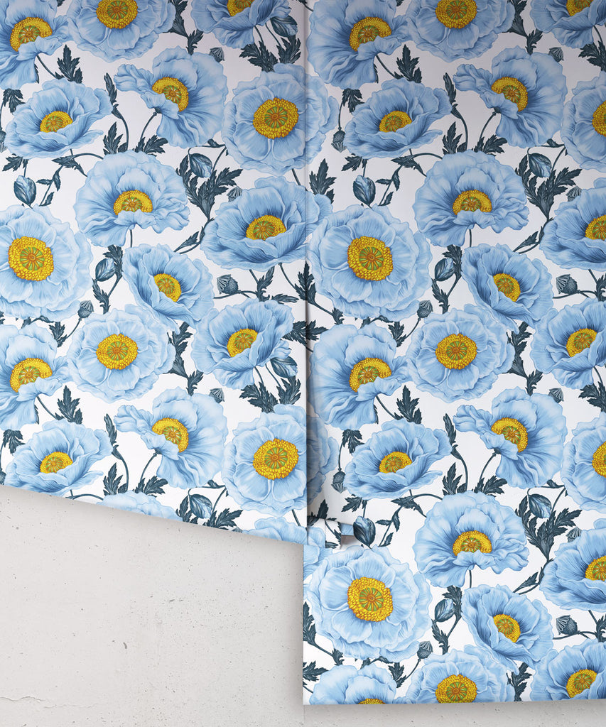 Papaver Wallpaper - Image 6