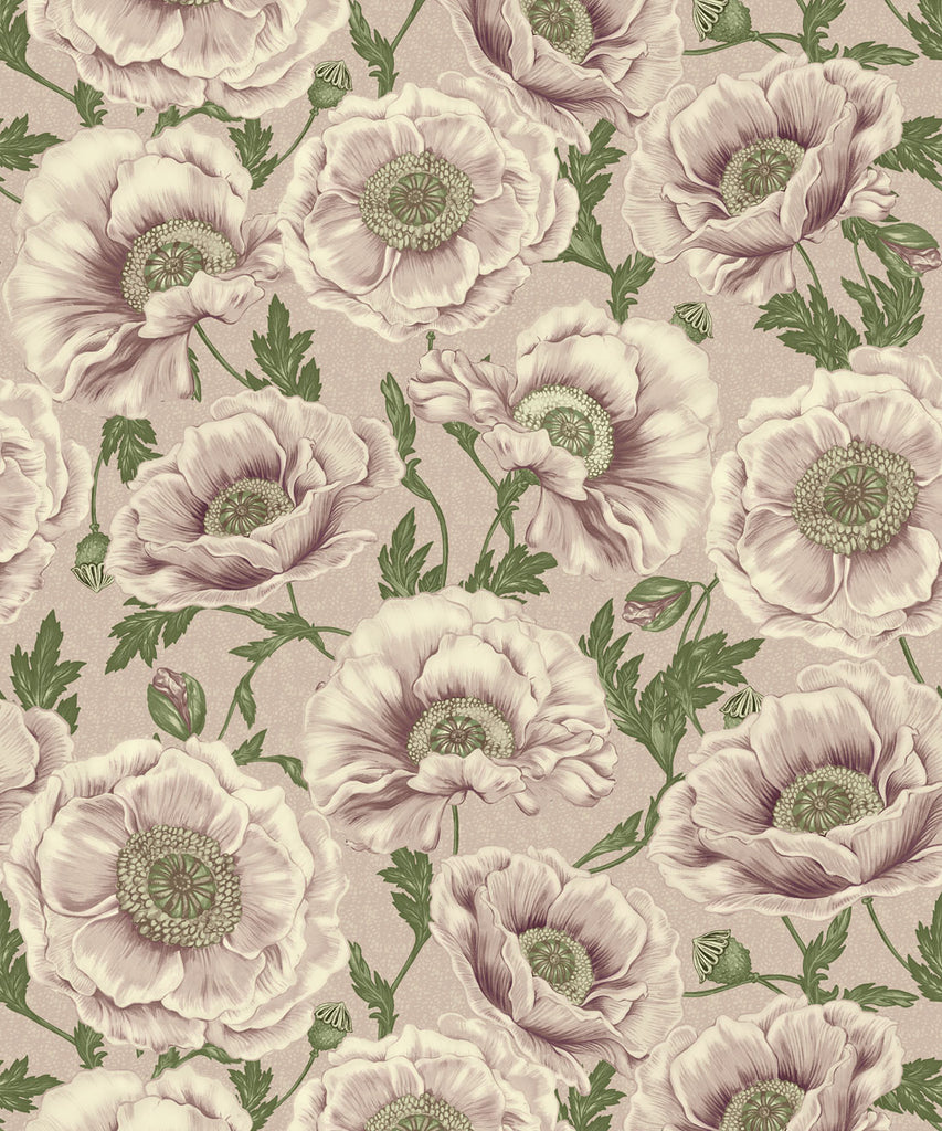 Papaver Wallpaper - Image 7