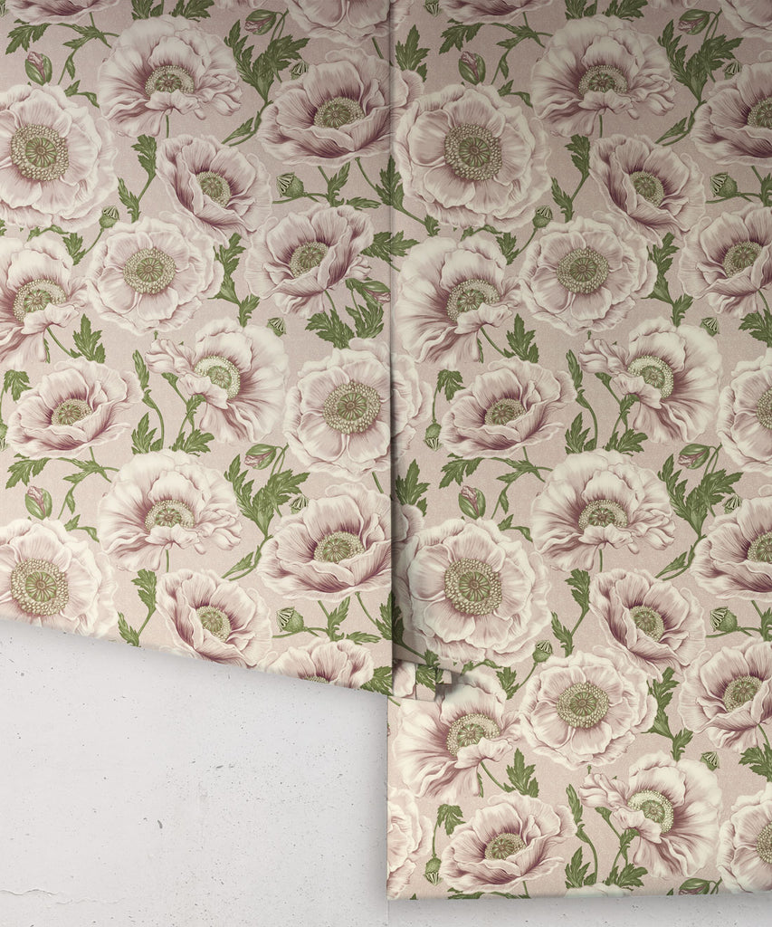 Papaver Wallpaper - Image 9
