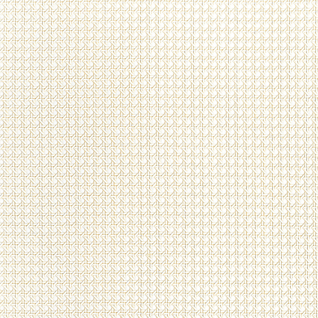 Paper Rattan, White