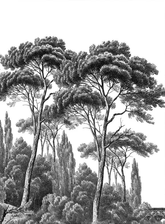 Papier peint panoramique sur mesure - Image 5