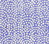 Periwinkle on Tint