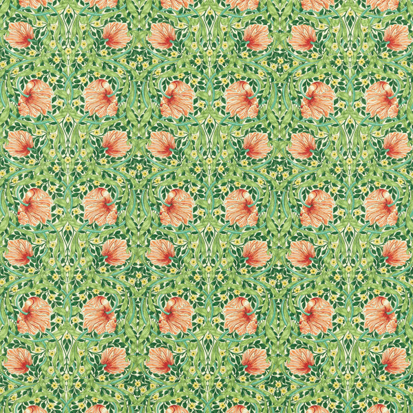 Pimpernel Shamrock/Watermelon | Morris & Co.