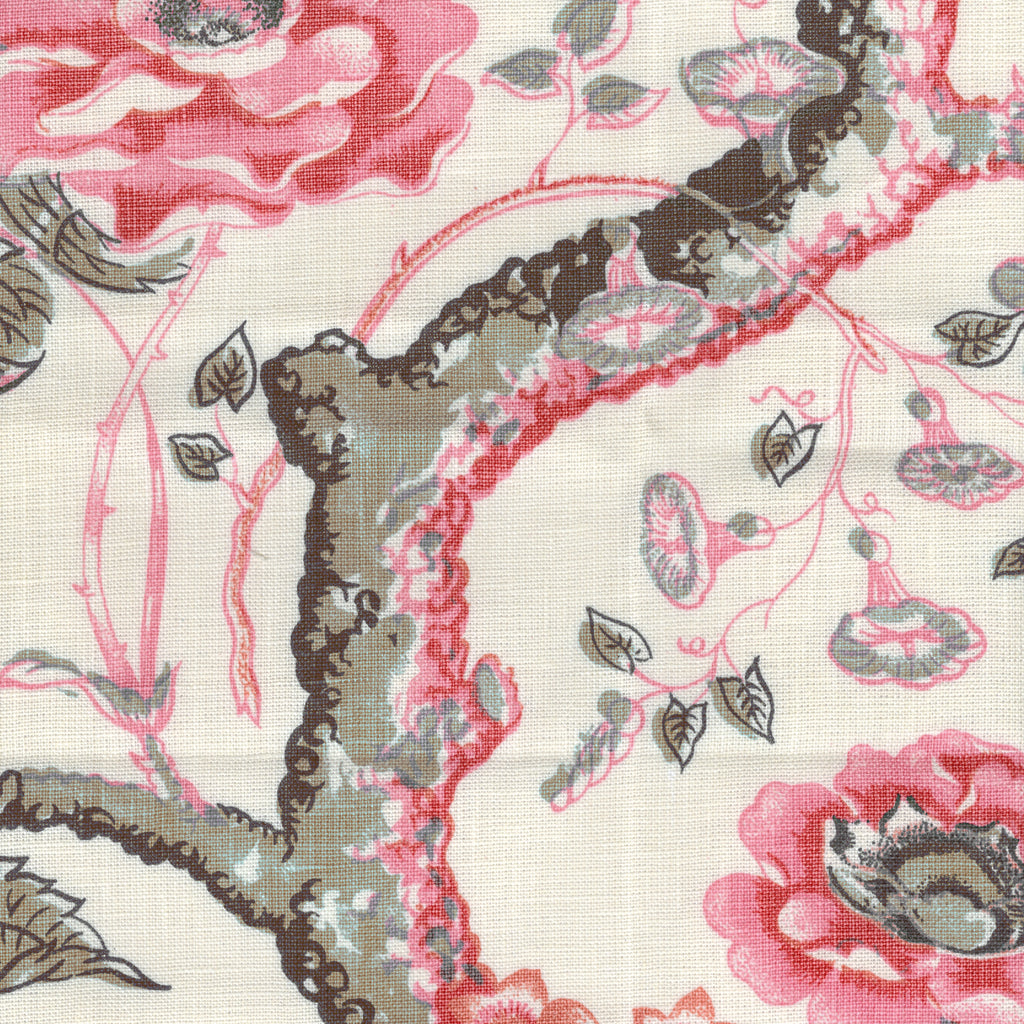 Tree Peony, Pinks Coco on Tint