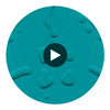 Pleated Spring by Philip Romano Circular Swatch | DW