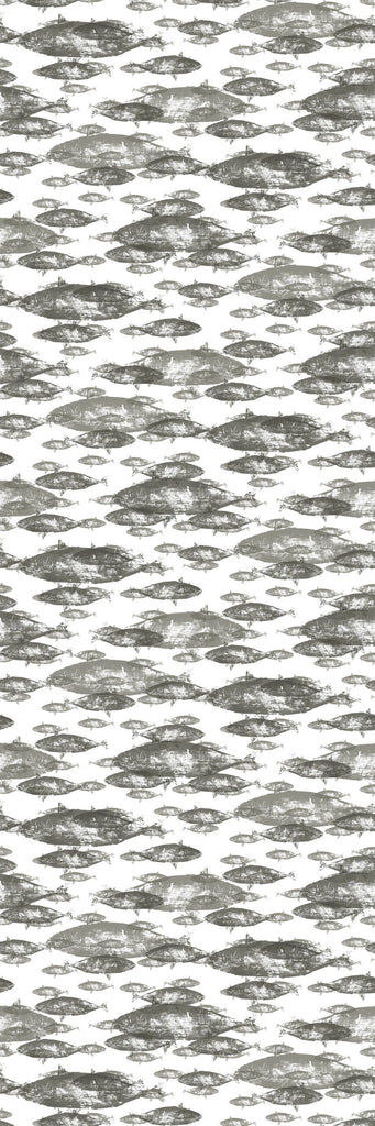 Poissons P2501-2