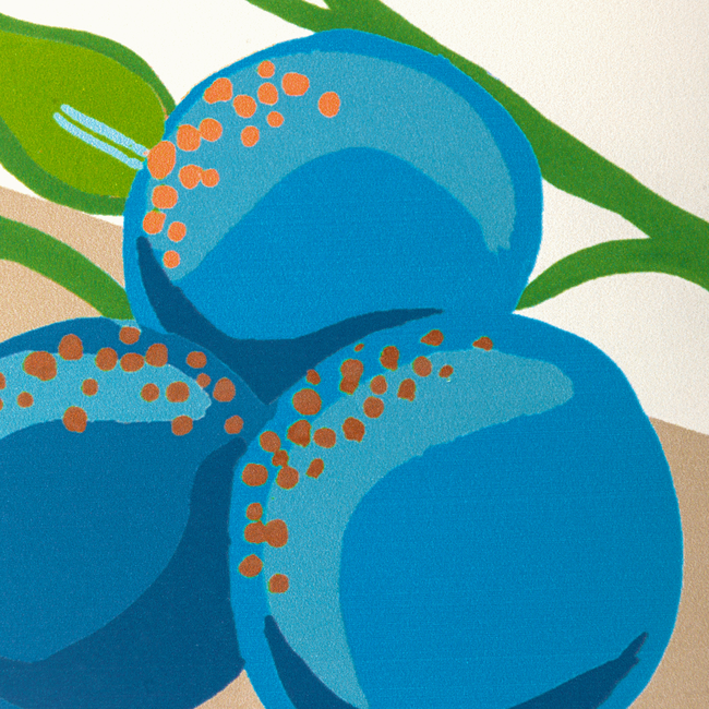 Pomelo - Multi - Image 4