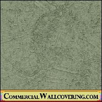Peter's Plastered | Hollywood Wallcoverings