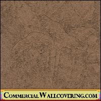Peter's Plastered | Hollywood Wallcoverings