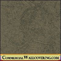 Peter's Plastered | Hollywood Wallcoverings