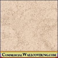 Peter's Plastered | Hollywood Wallcoverings