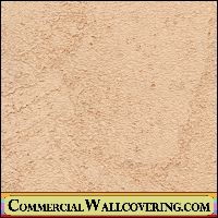 Peter's Plastered | Hollywood Wallcoverings