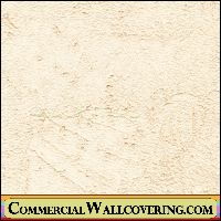 Peter's Plastered | Hollywood Wallcoverings