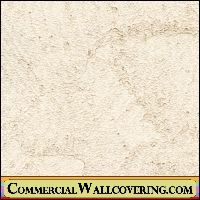 Peter's Plastered | Hollywood Wallcoverings