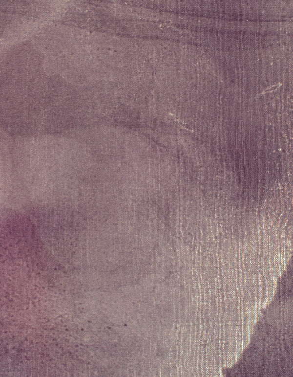 Prague Iris Raspberry Parfait Wallcovering | Phillipe Romano