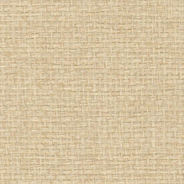 Aruba Basketweave - Paperweave