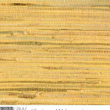 Chan Do Horizontal Texture