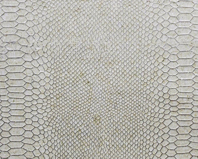 Gold Coast Snakeskin Type 2 | Phillipe Romano