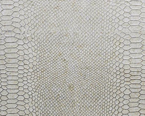 Gold Coast Snakeskin Type 2 | Phillipe Romano