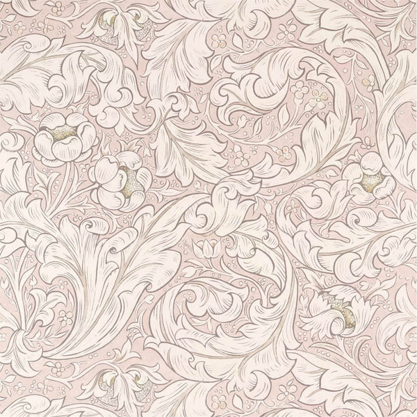 Pure Bachelors Button Faded Sea Pink | Morris & Co.