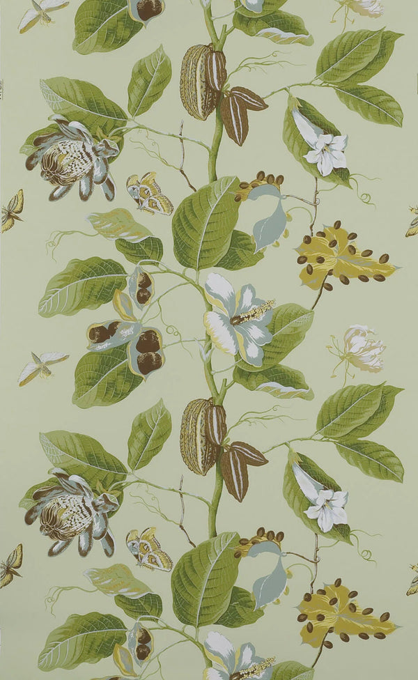 Wallcovering Nakai, Pistacchio Wallcoverings | Pierre Frey