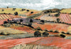 Quijote Red