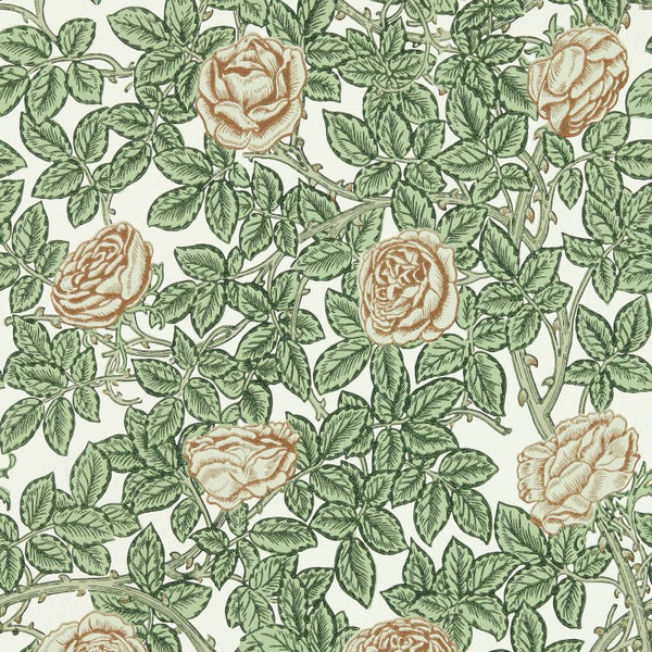 Rambling Rose Wallpaper Pearwood Leafyarbour | William Morris