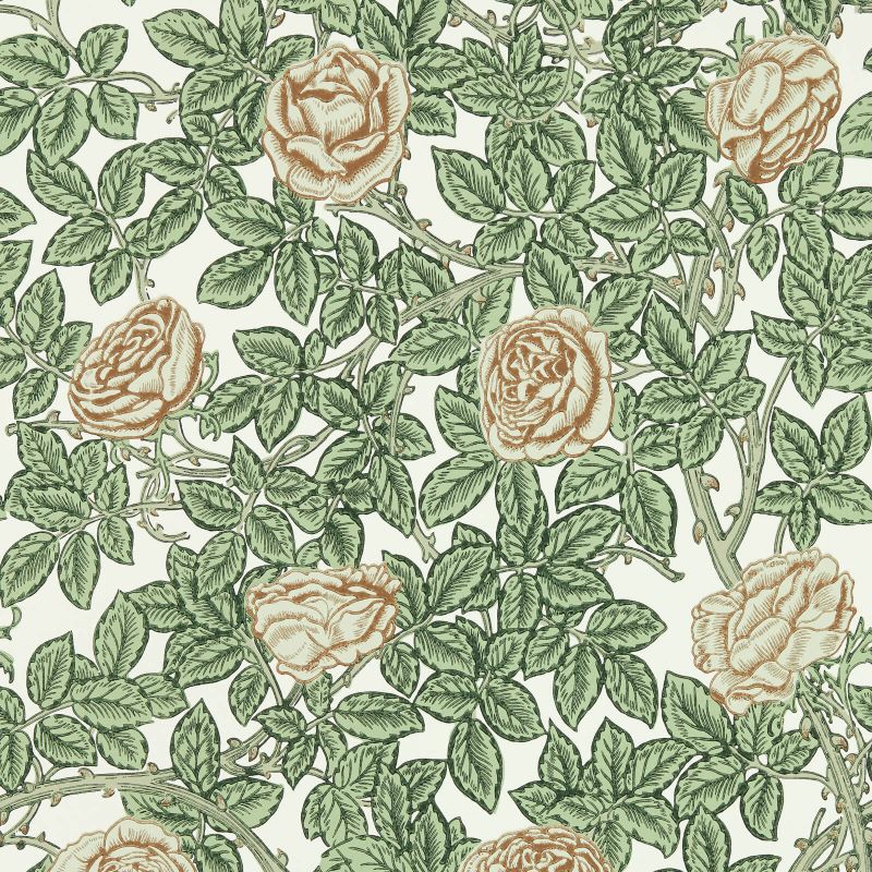 Rambling Rose Wallpaper Pearwood Leafyarbour | William Morris