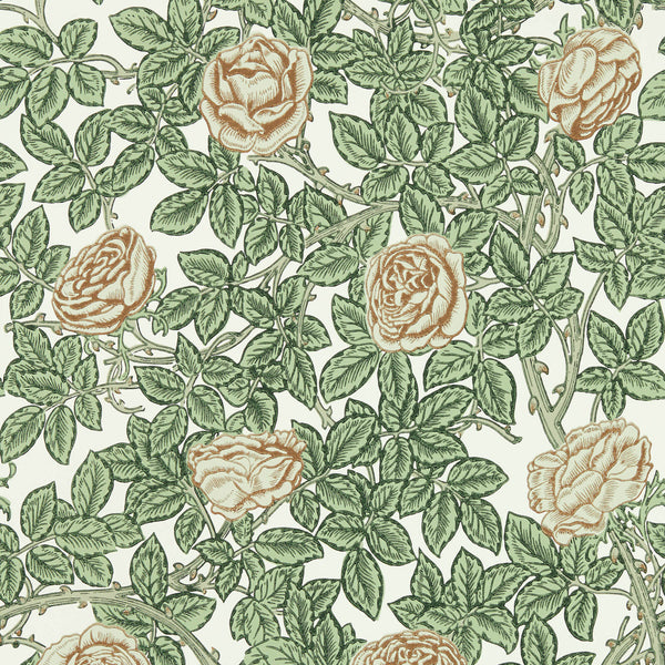 Rambling Rose Leafy Arbour/Pearwood | Morris & Co.